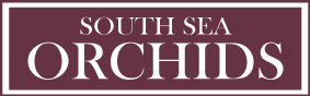 South Sea Orchids